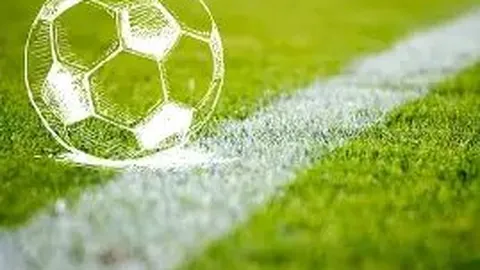 BB贝博艾弗森体育